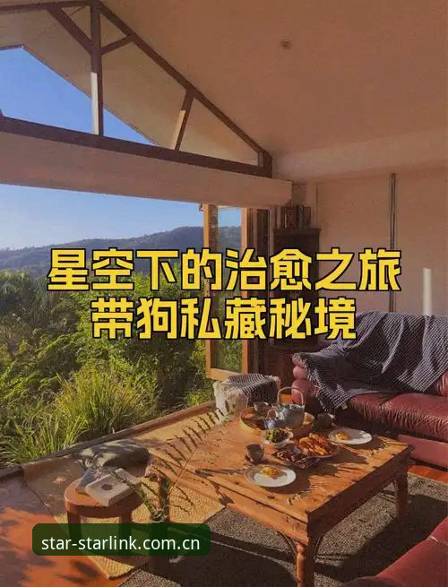 starlink pulse体育数据攻略 一个老球迷的私藏心得:在星空平台入口追踪索斯盖特纪录片动向的那些事